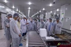 生鮮電商冷庫維修保養(yǎng)-我廚上?div   id=